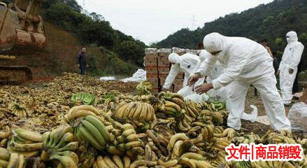 酒類(lèi)銷(xiāo)毀